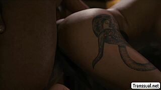 Aroused man enjoys penetrating transgender women's rear entrance
