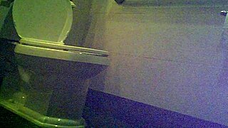 Secret observer of urination in the bathroom