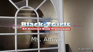 Black tgirl Ms. Amiya's special sex show