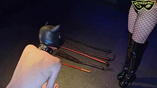 A fetishistic mistress in fishnet punishes her dog with high heels.