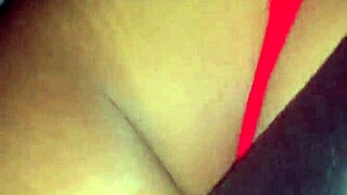 A black beauty enjoys a big black cock in her mouth and vagina