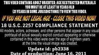 A beautiful young girl named Alexis Crystal has a threesome in a public place