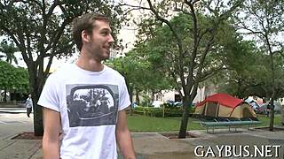Gay cocks in action
