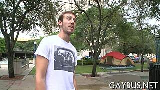 Gay cocks in action