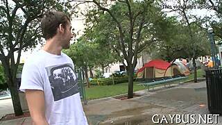 Gay cocks in action