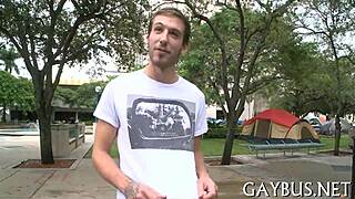 Gay cocks in action