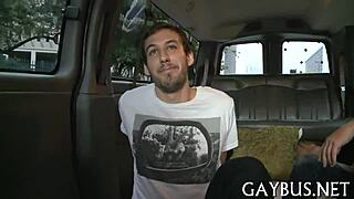 Gay cocks in action