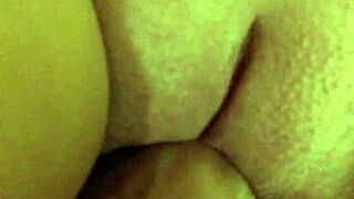 Lipslit is shy and doesn’t like to be in front of the camera