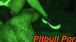 At midnight, the big dick woke up and there was no one to fuck 100 amateurs