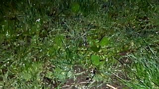 Russian lesbian couple enjoys dirty talk and cunilingus