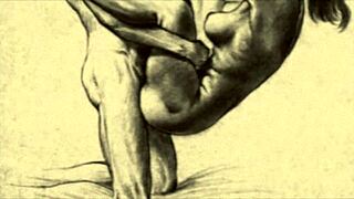 Hairy anime girls in erotic illustrations from the good old days
