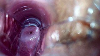 Close up of an orgasm inside the vagina