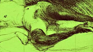 Detailed illustrations of an erotic nature from the past