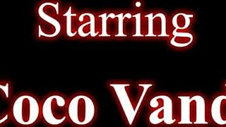 Sexy stepmilkisss Coco Vandi strips on spring break