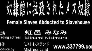 Minami Nizimura - Punished slave in the slavehouse