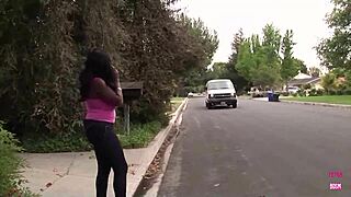 Alisha Madison's interracial encounters in various steamy positions