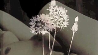 Hairy and wet: Vintage lesbian group sex confessions