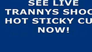 Beautiful transgender webcam star with a great ejaculation